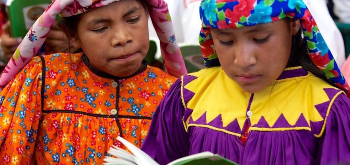5 apps para aprender idiomas nativos de México | Somos Mexicanos